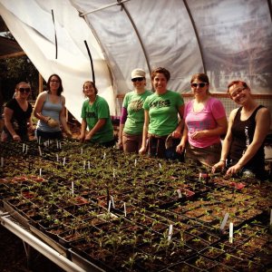 SVRG volunteers massage pepper plants (Left to Right): Smash N’ Burn, Catherine Beata Bones, Surge, Veggielution rep, Absolutely Scabulous, Skirt Vonna-Gut, and Skooter Ov’r